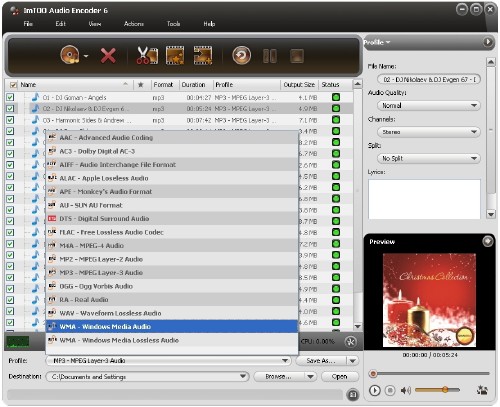 wma imtoo mp3 инструкция converter